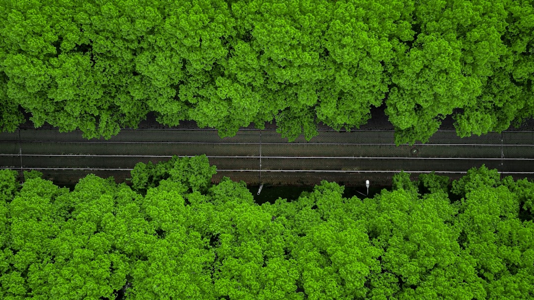 Automatyzacja raportowania zrównoważonego rozwoju
