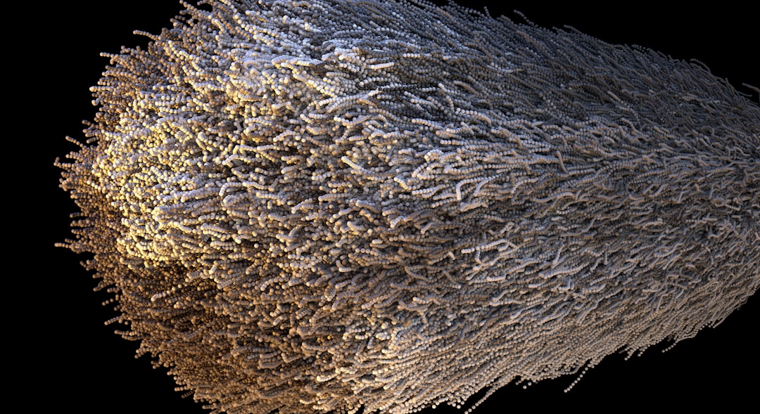 Fundusze na chipy neuromorficzne