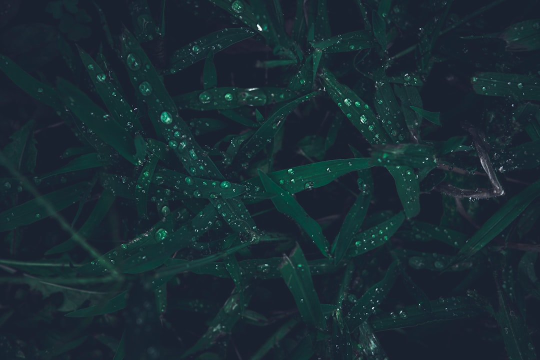 Startupy biotechnologiczne w syntetycznej biologii